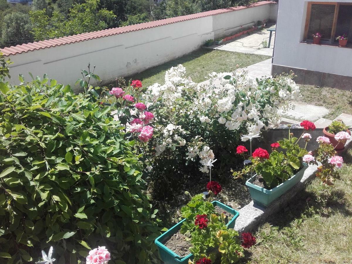 Gurgulyat Hotel Aleksievata Kashta מראה חיצוני תמונה