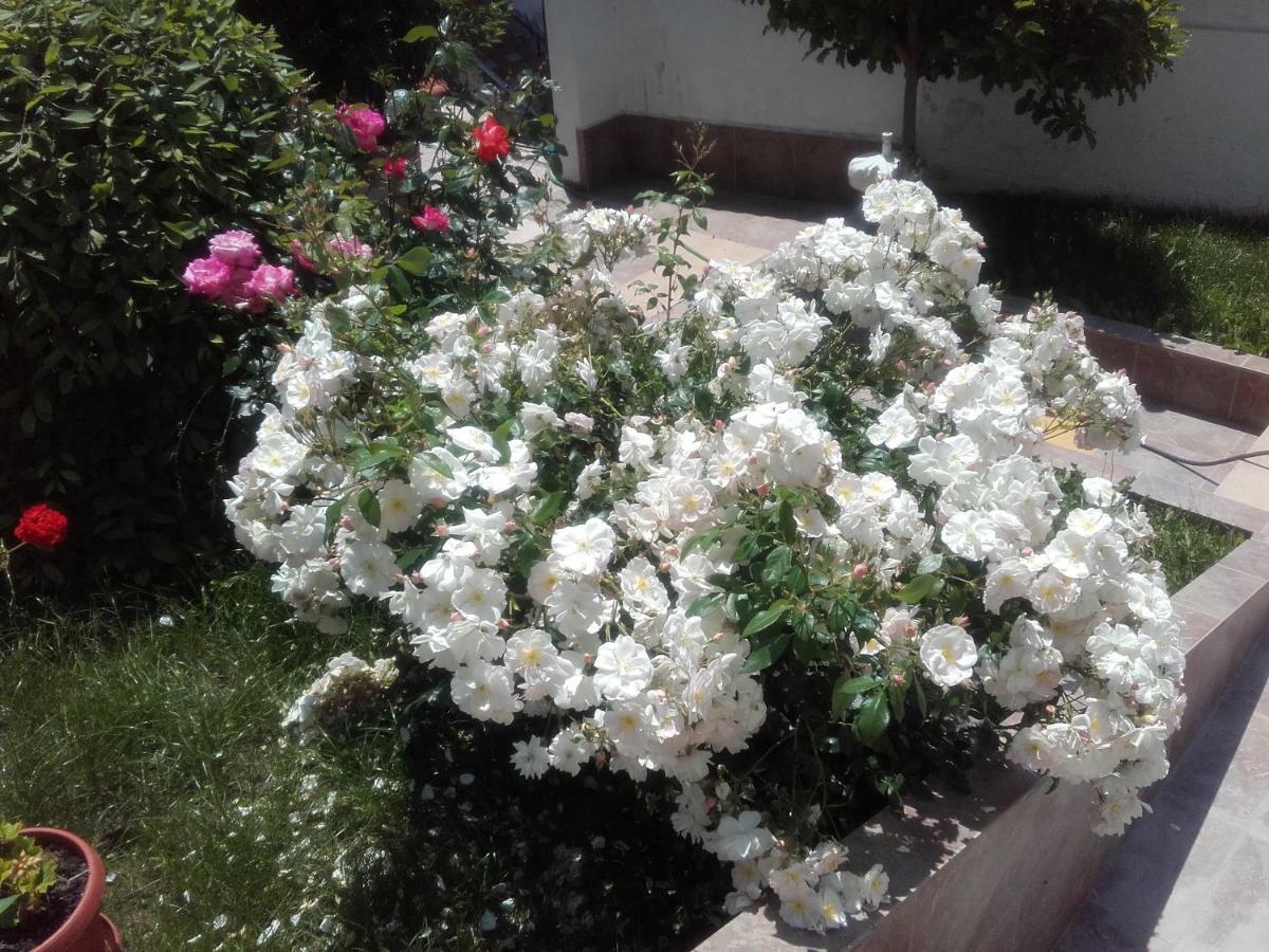 Gurgulyat Hotel Aleksievata Kashta מראה חיצוני תמונה